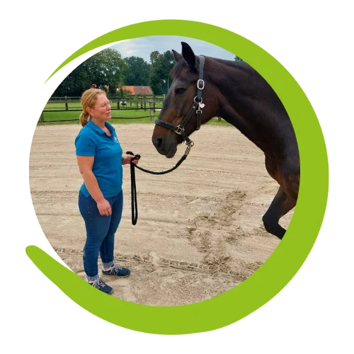 Individuelle Behandlung Tierärztin therapiert ein Pferd auf dem Reitplatz